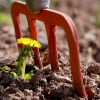 Laien wissen wenig über Landwirtschaft - trotzdem sollten sie mitdiskutieren. Aus diesen Gründen!