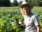 Mietgärten: Gemüse selbst anbauen