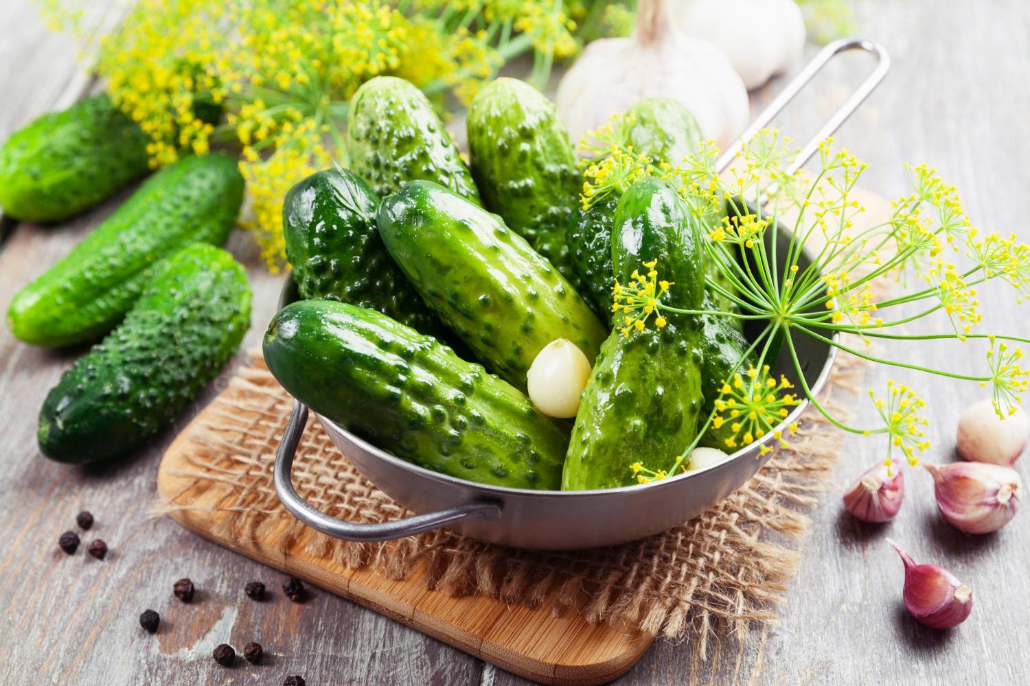 Eingelegte Gurken in Branntweinessig