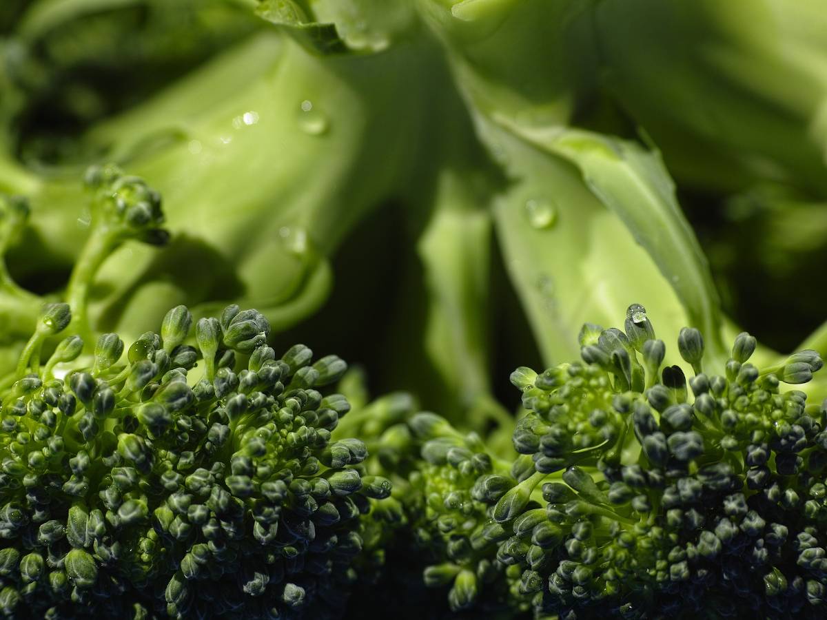 Broccoli-Röschen mit Strunk