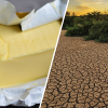 Klimakiller Butter: Deshalb schadet sie dem Klima!