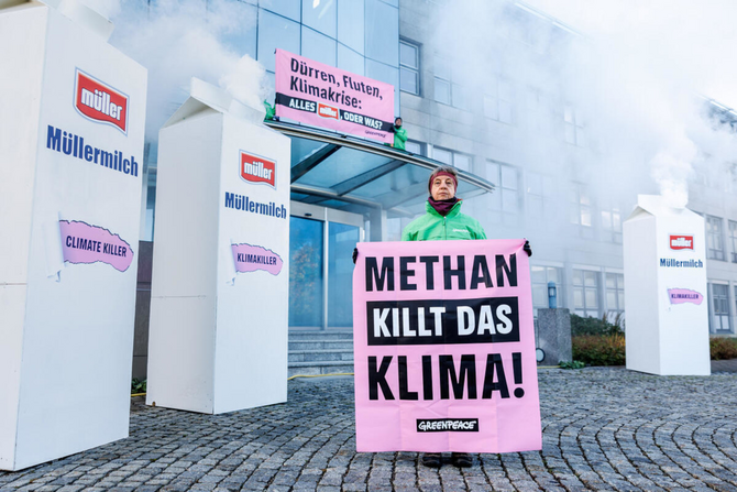 Milchindustrie setzt Methan frei - Greenpeace protestiert dagegen.