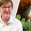 Prof. Bodo Melnik: "Milch macht krank!"