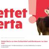 "Rettet Berta"? So dreist wirbt ein Bauernverband für qualvolle Anbindehaltung von Kühen!