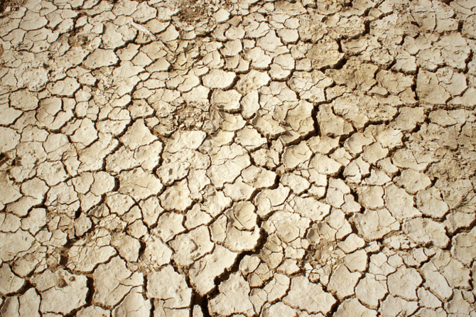 Trockenheit ist auch eine Folge des Klimawandels
