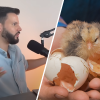 Niko Rittenau ändert Position zu veganer Ernährung - was sind die Folgen?