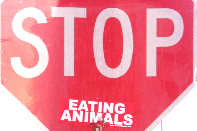 „Radikale“ Tierrechtler haben ein Schild beklebt